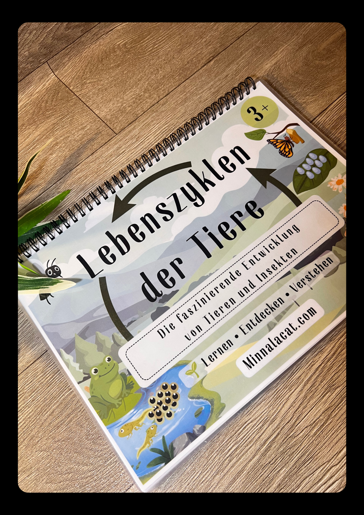 Lebenszyklen🌿