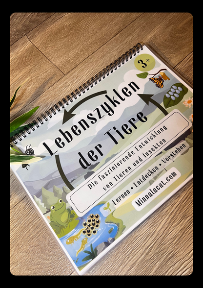 Lebenszyklen🌿