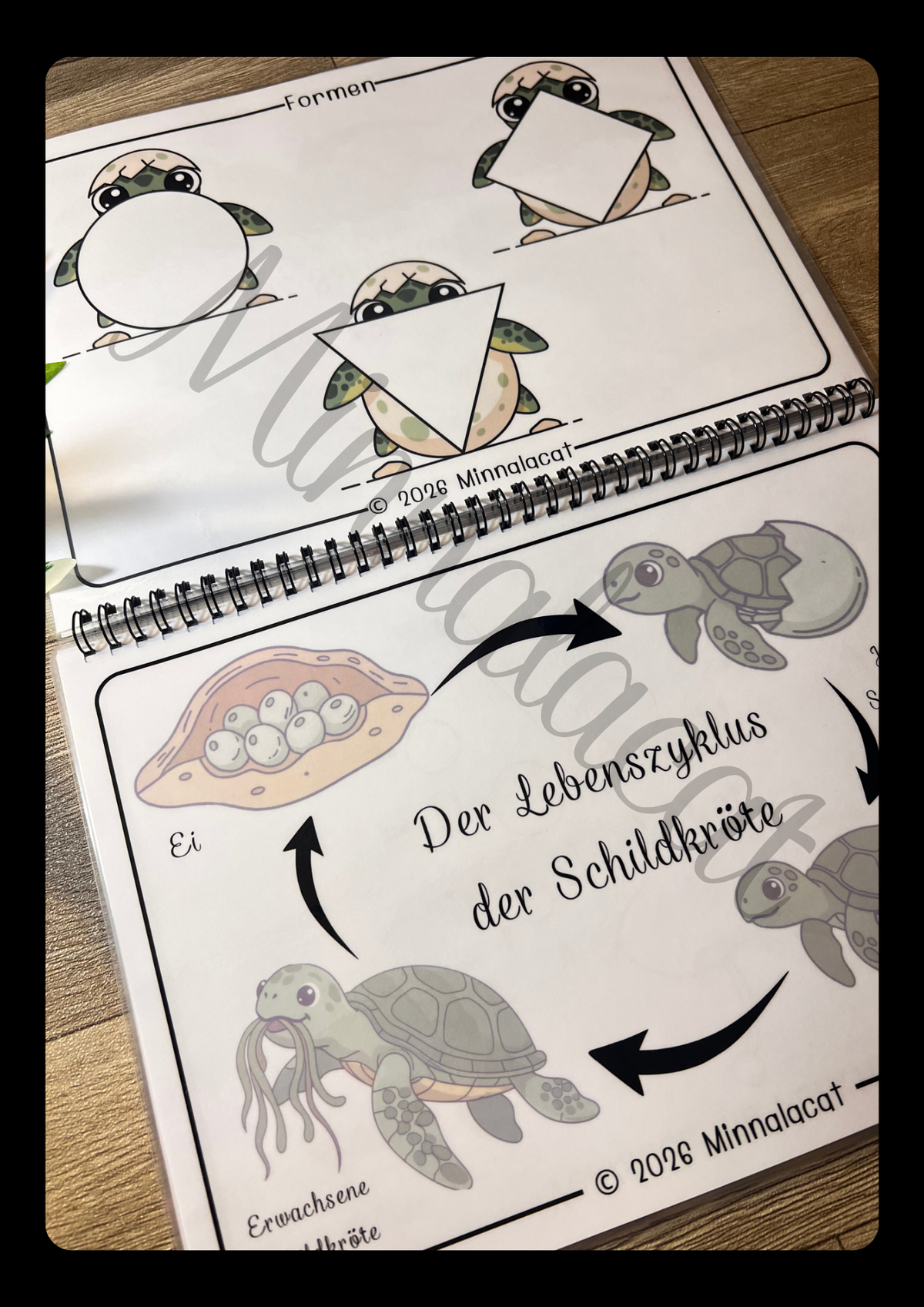 Lebenszyklen🌿