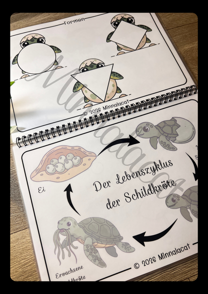 Lebenszyklen🌿