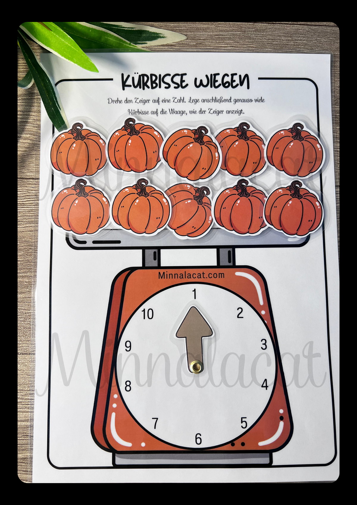 Kürbisse wiegen