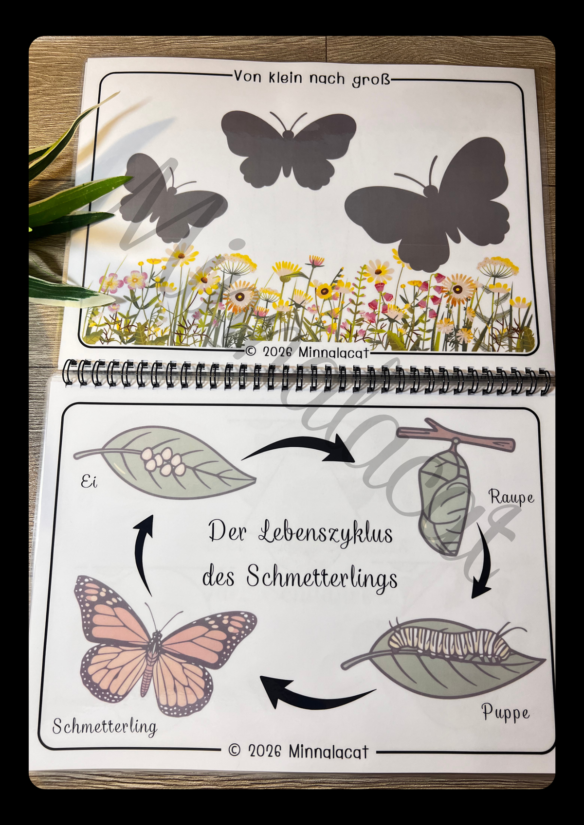 Lebenszyklen🌿